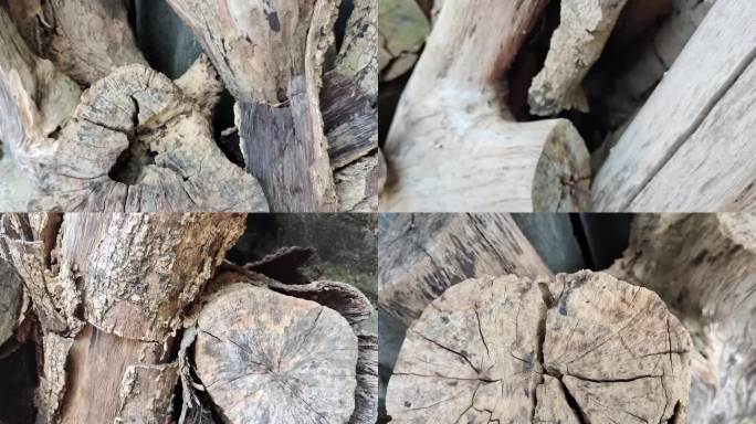 皮木头木头纹理裂纹龟裂树皮特写树皮纹理