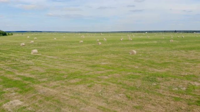 广阔的田野里有很多干草。