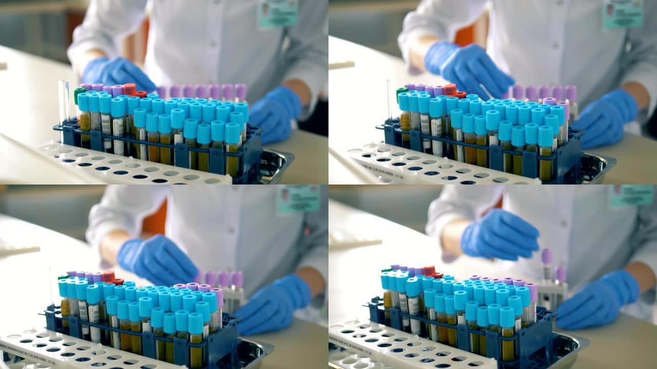 实验室工作人员将带血的管子放在桌子上的特殊托盘上。