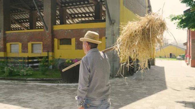 一个农夫带着装满干草的干草叉走过他的农场，给谷仓里的动物喂食。