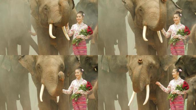 年轻迷人的亚洲女性穿着传统服装与大象的温柔。概念: 热爱动物，柔软，自然。