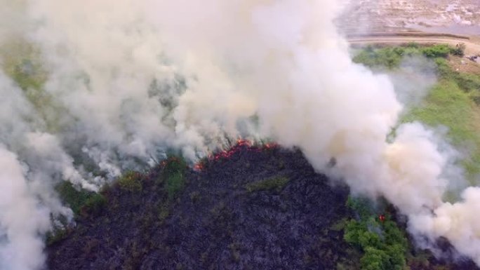 森林大火正在燃烧森林大火正在燃烧山火火灾