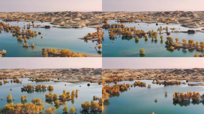 新疆鸟瞰图沙漠绿洲航拍沙漠湿地秋景