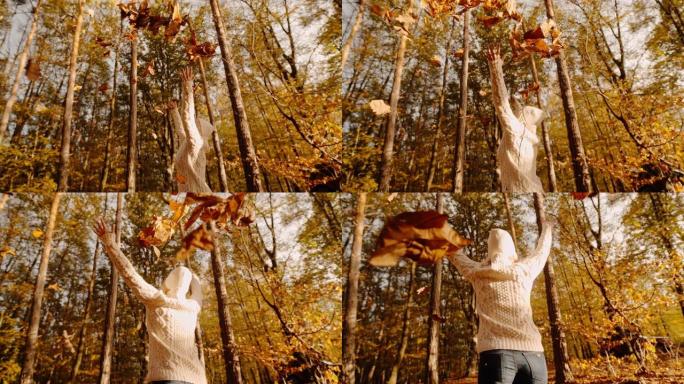 MS超级慢动作旺盛的年轻女子在森林中扔金色的秋叶