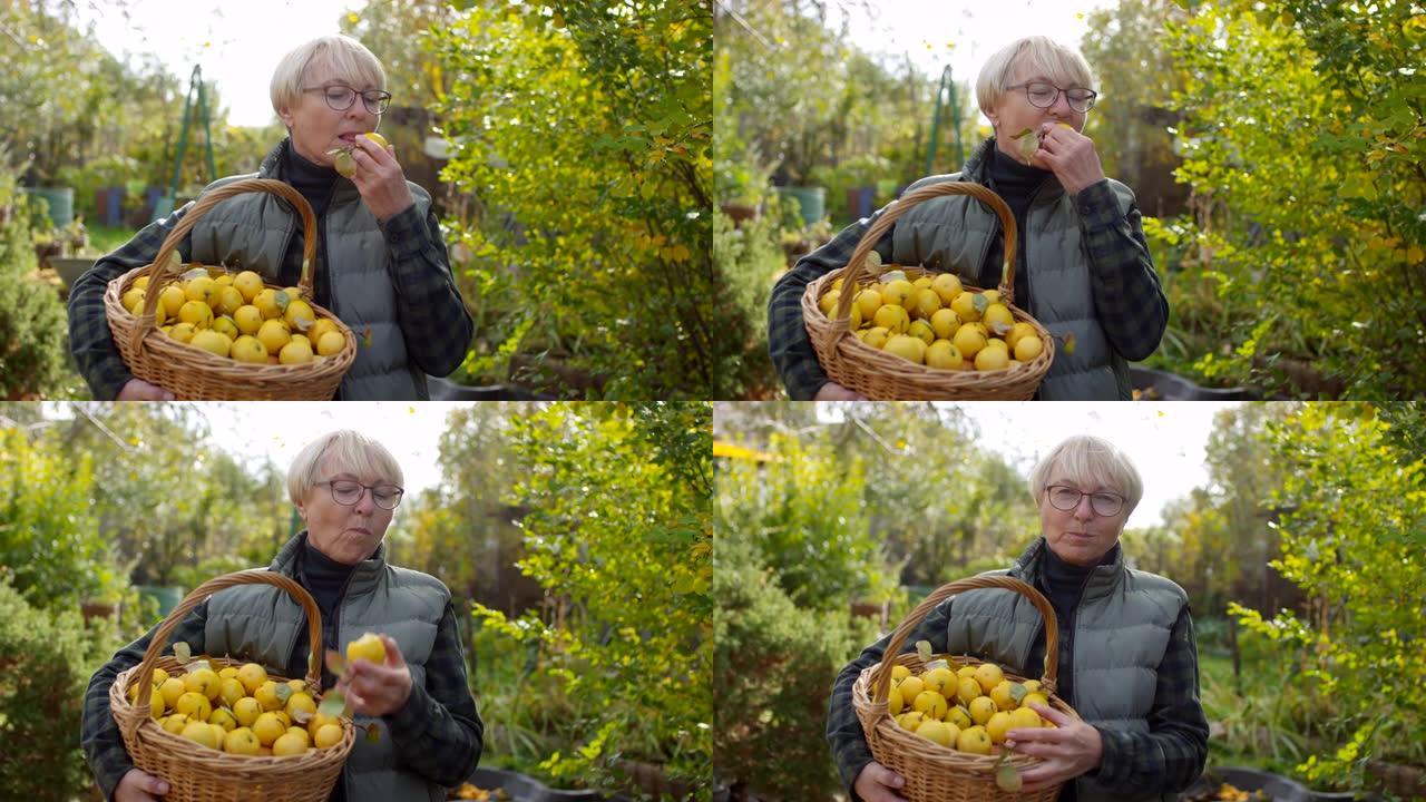快乐的高加索女士享受新鲜采摘的国产苹果