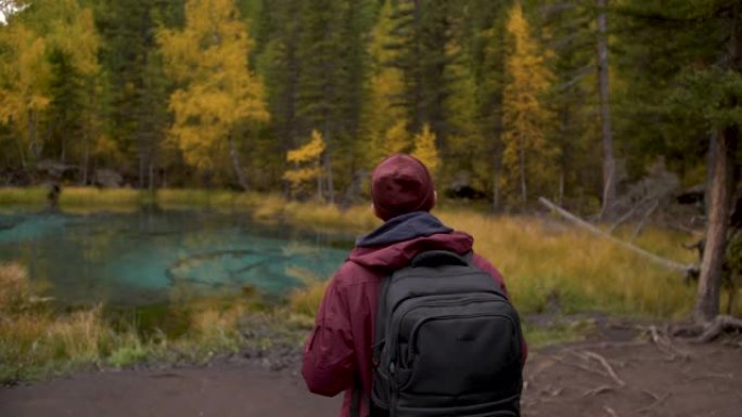 一位30多岁的男性旅行者在林道上向前走，欣赏野生自然之美。大国家公园树木间徒步旅行的游客的背景图。概