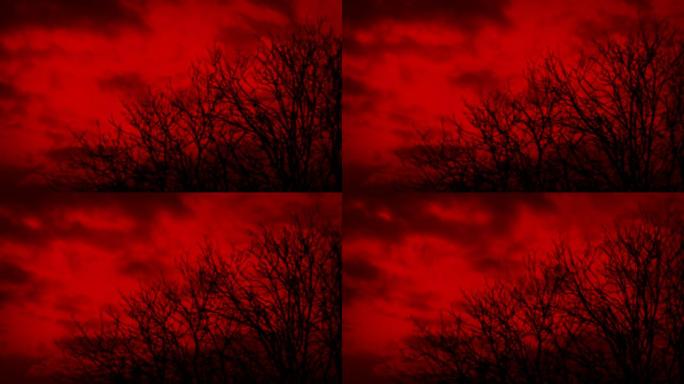 裸露的枯树上的有毒红色天空