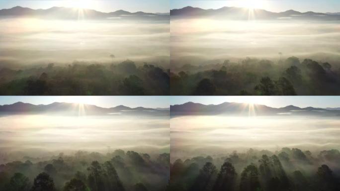 鸟瞰图早上有雾晨雾美景雾气朦胧雾中世界