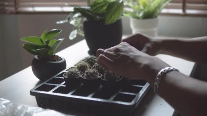 时髦的亚洲男人在家里给室内室内植物浇水