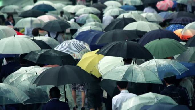 日本商人上午上班打伞下雨天