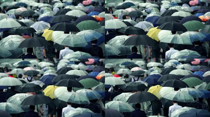 日本商人上午上班打伞下雨天