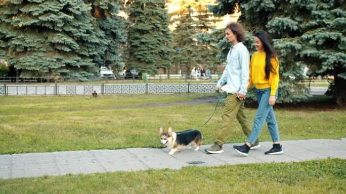 一对情侣在城市公园散步威尔士柯基狗，聊天放松