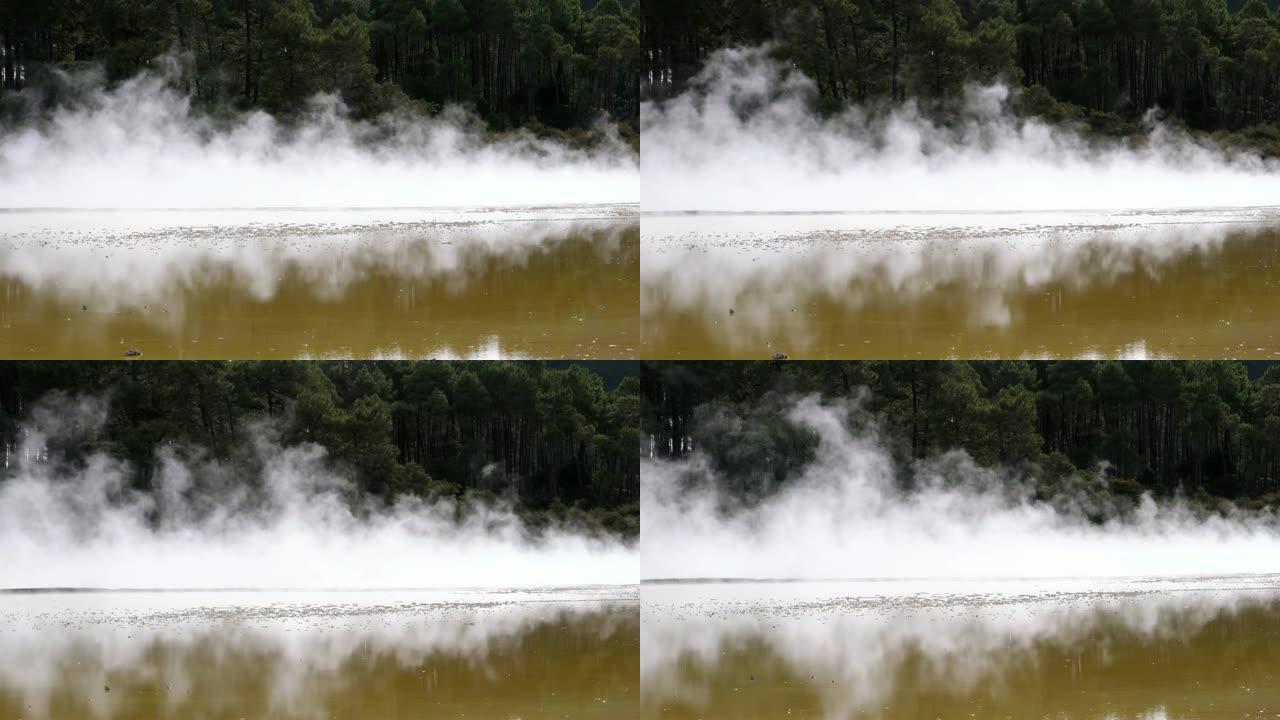 从地热湖上升的蒸汽