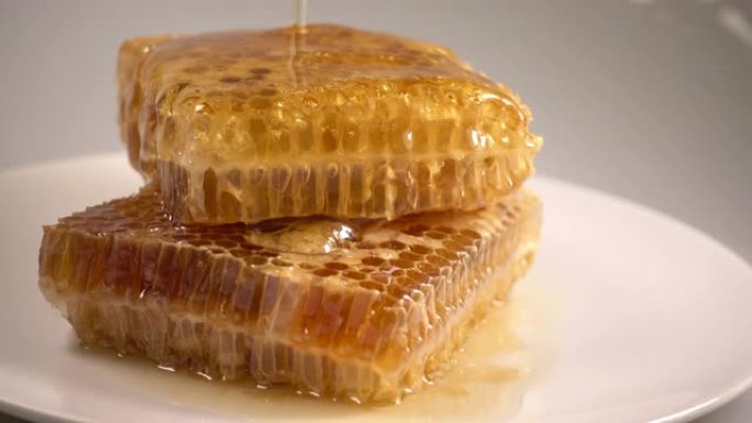 Honey poring on honey comb