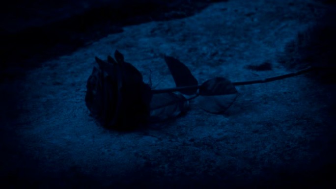 罗斯在晚上穿上坟墓