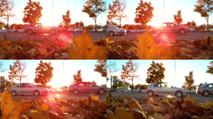 特写: 两辆车驶过一堆秋天的彩色树叶和一个停车场。