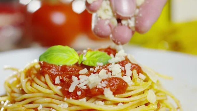 意大利意大利面食的宏观细节，西红柿、帕尔马干酪和罗勒。