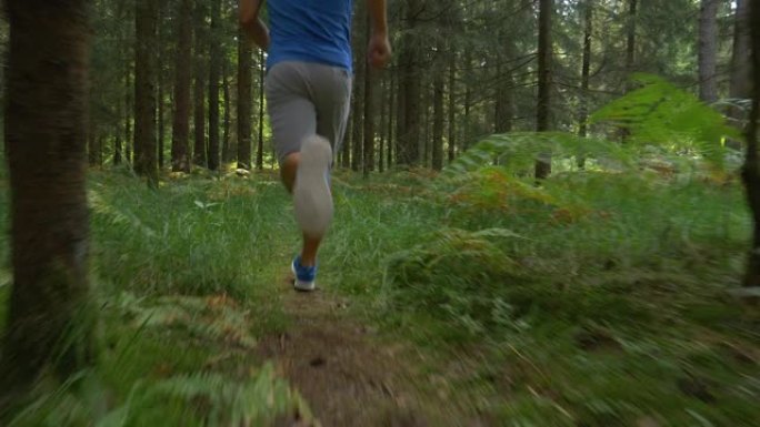 慢动作: 在树林里慢跑，适合参加马拉松训练的男运动员。