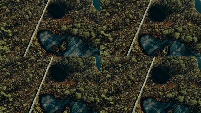 空中电影无人机可以看到秋天森林中的冰冻沼泽，上面有一条木制小径。美丽的乡村景观，白天有绿色的针叶树和