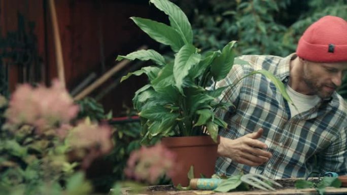 男人在花园里种花男人花园里种花