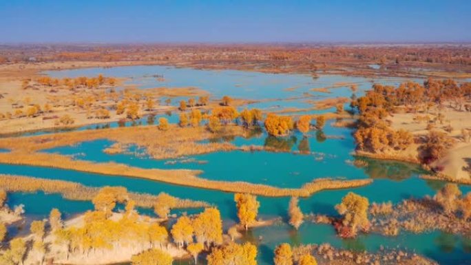 新疆鸟瞰图大美新疆新疆航拍新疆秋季美景