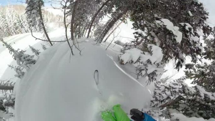 自拍照: 男人在寒假的天空中穿过被粉雪覆盖的松树林