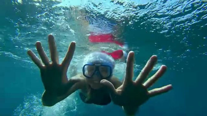 夏季圣诞问候表演水族馆演员