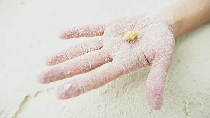 CU女子手握贝壳沙蟹在白色沙滩上