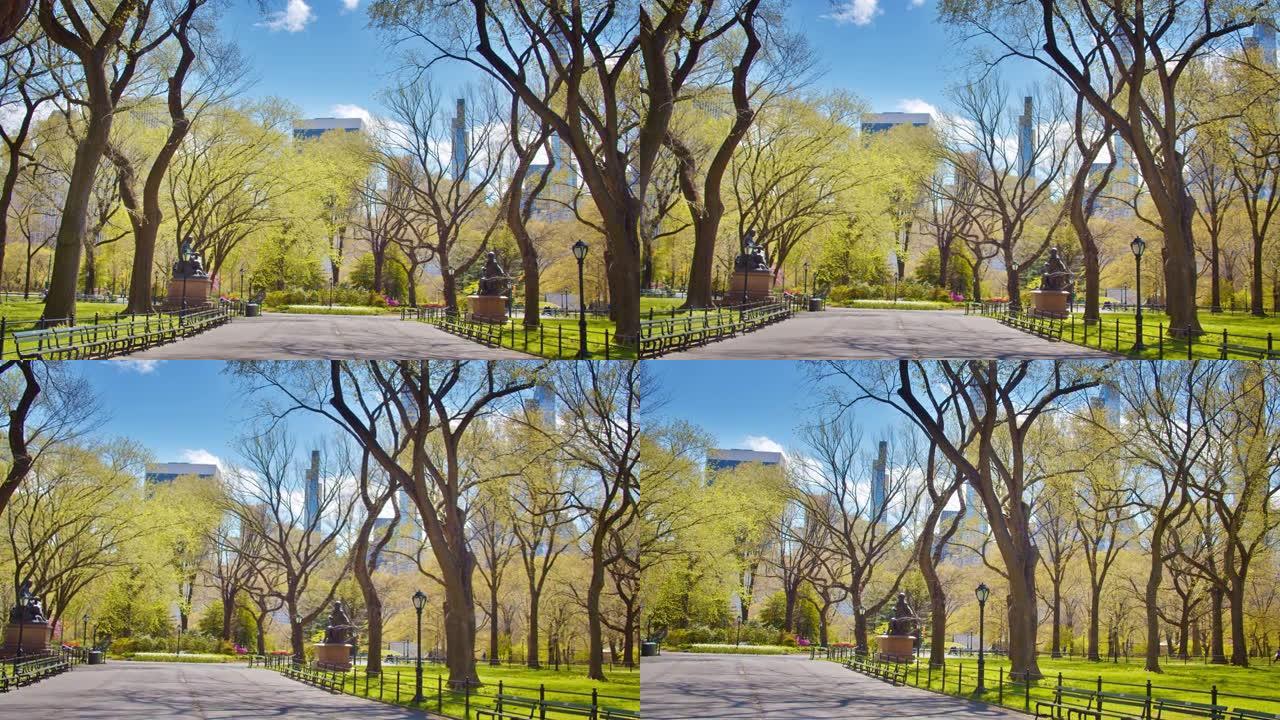 从字面上看，在纽约中央公园散步