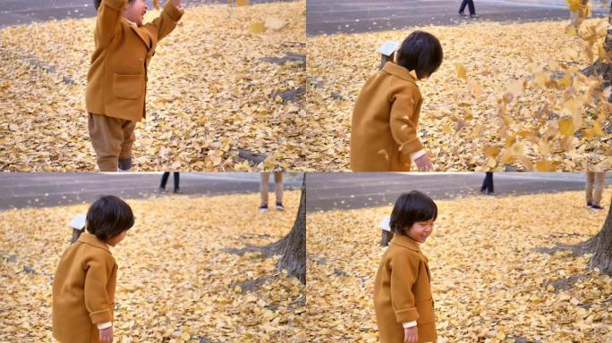 快乐男孩在公园玩秋叶