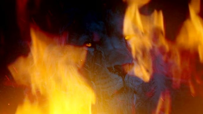 火焰中的大狮子与发光的眼睛