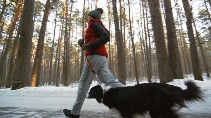 女人和狗在冬季森林中奔跑