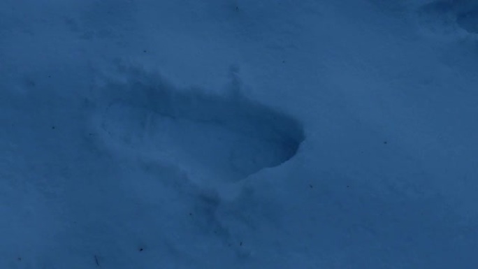 靴子在傍晚的雪地里留下足迹