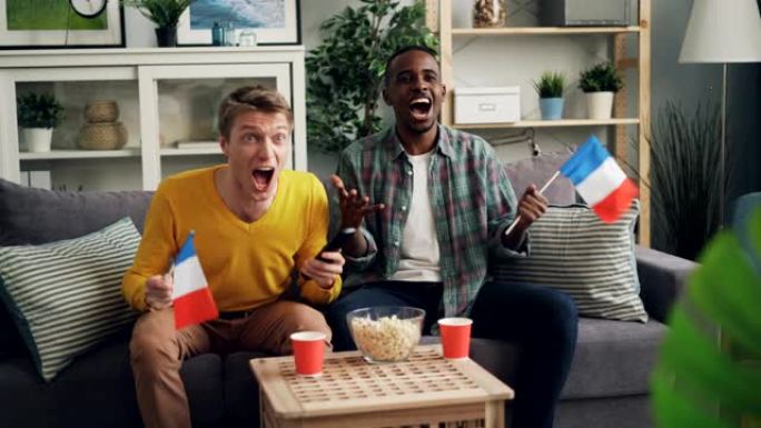 两名男性朋友在电视上观看体育比赛，他们举着法国国旗庆祝胜利。