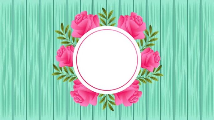 美丽玫瑰花卉花园圆形框架动画