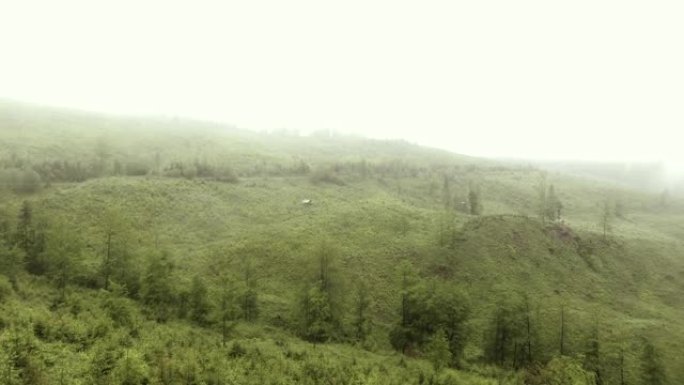 探索荒野。雾天的山地景观