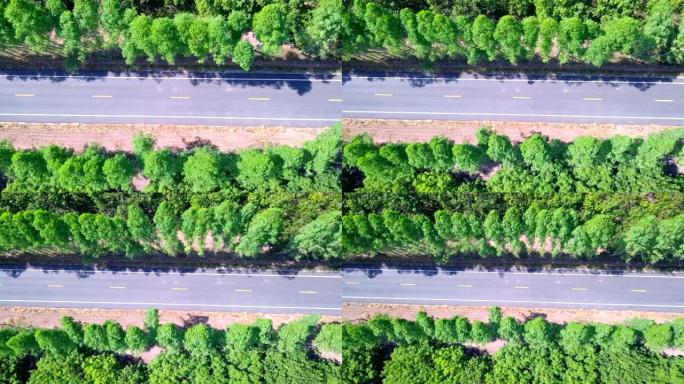 森林中央长路的鸟瞰图