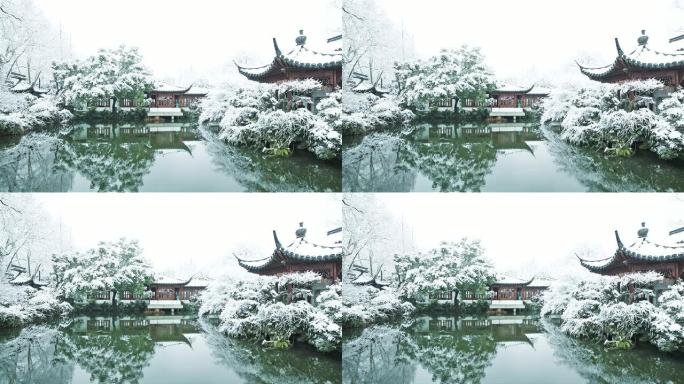 杭州景观雪林雪景冰天雪地