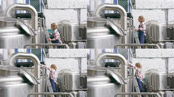 梯子检查啤酒上的女性工艺酿酒师