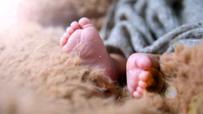 新生婴儿的小脚新生儿小脚丫幼儿脚丫特宝宝