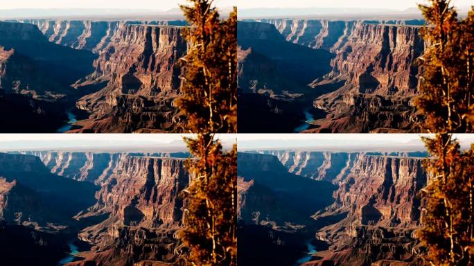 美丽的背景拍摄松树在惊人的大峡谷国家公园亚利桑那州雄伟的阳光明媚的山脉。