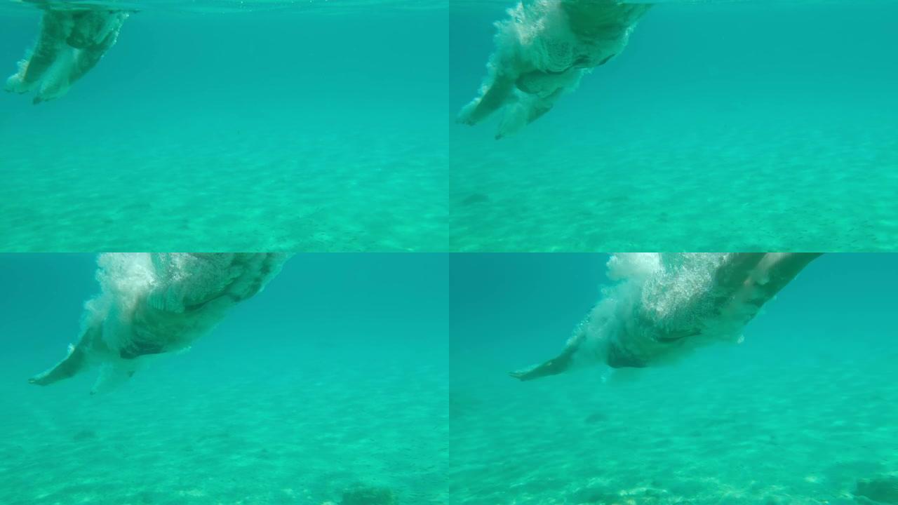 MS超级慢动作女人在水下潜入绿松石蓝色的海洋