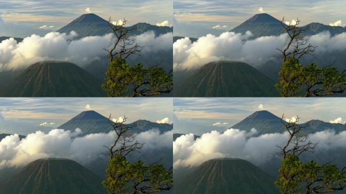 印度尼西亚东爪哇省活火山布罗莫山的风景照片。4K, UHD