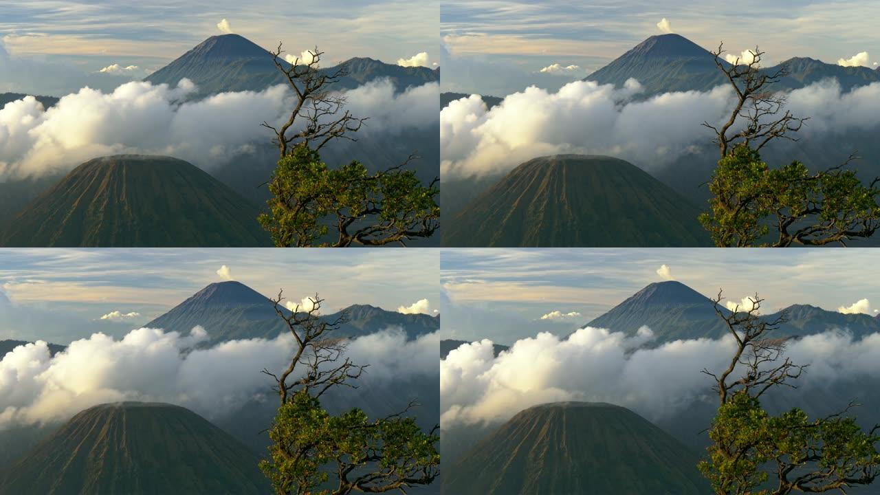 印度尼西亚东爪哇省活火山布罗莫山的风景照片。4K, UHD