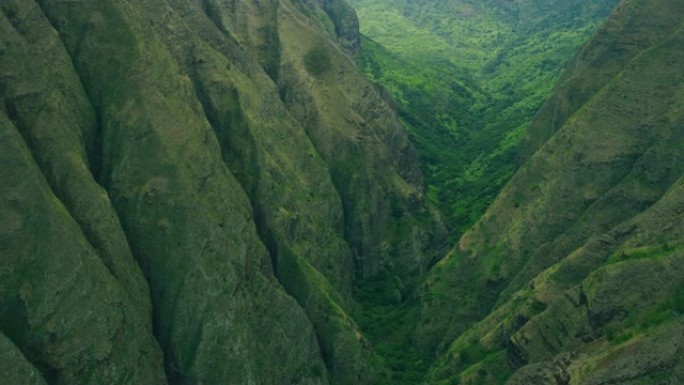 生命的开始穿越大山自然风景