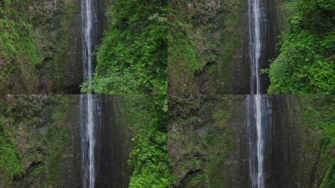 惊人的丛林瀑布森林风光夏日视频素材俯拍