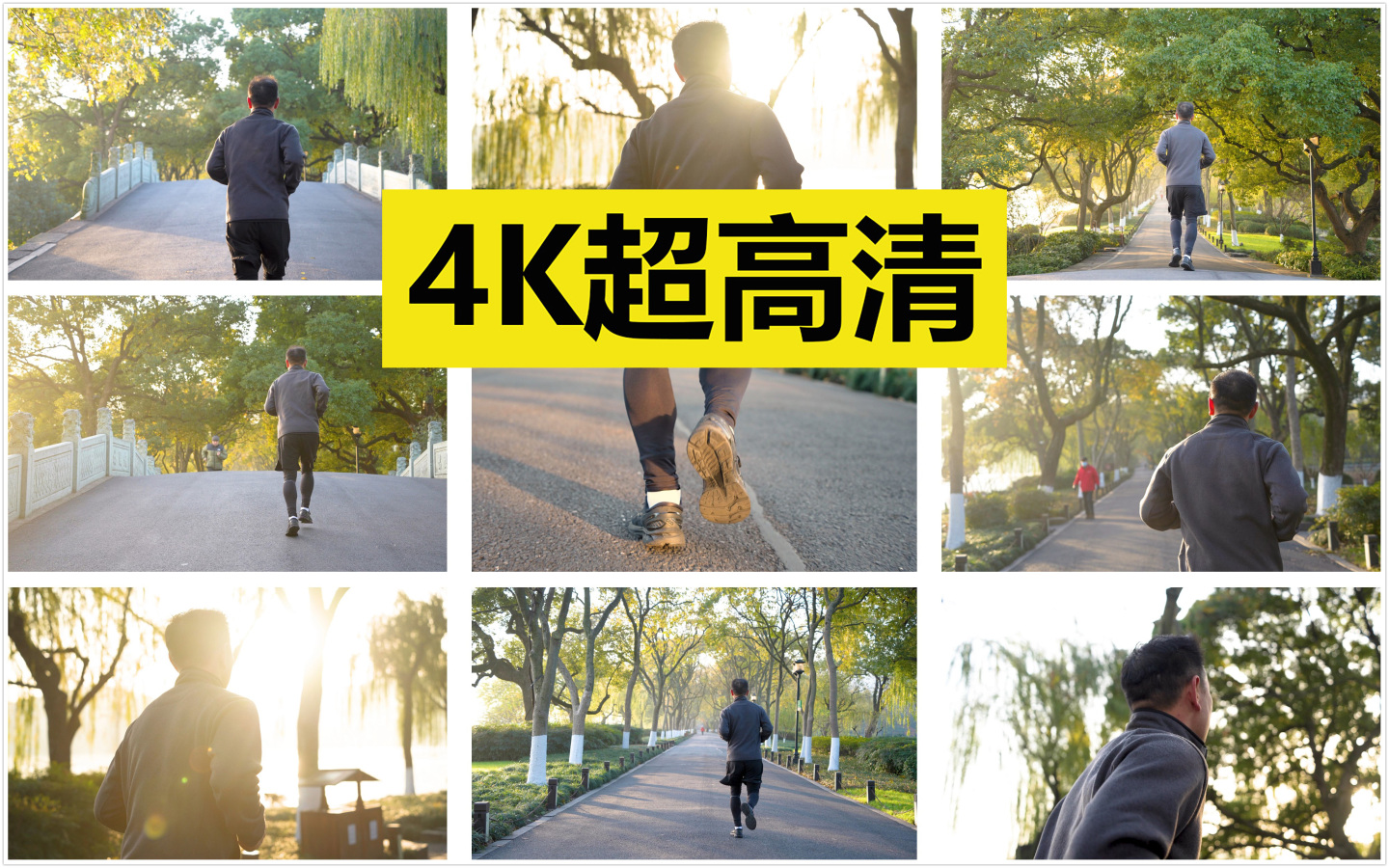 清晨 金色阳光 跑步【原创4K】