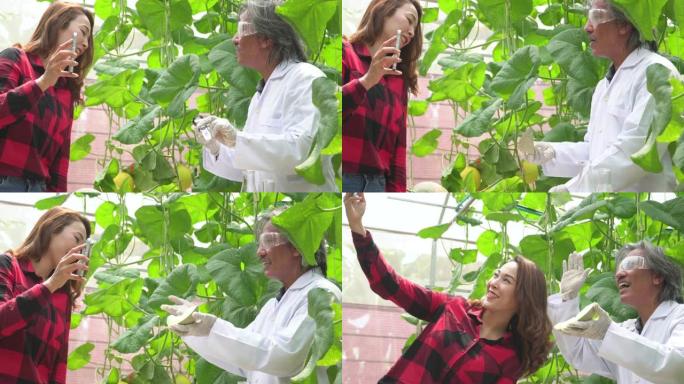 男女科学家在视频通话中检查哈密瓜的甜味水平