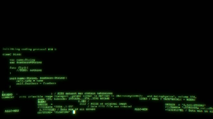 计算机屏幕上的软件开发人员编程代码