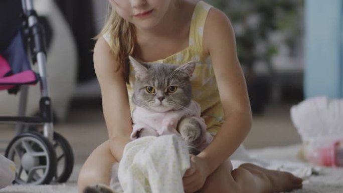 女孩给猫穿衣服儿童与宠物照顾宠物